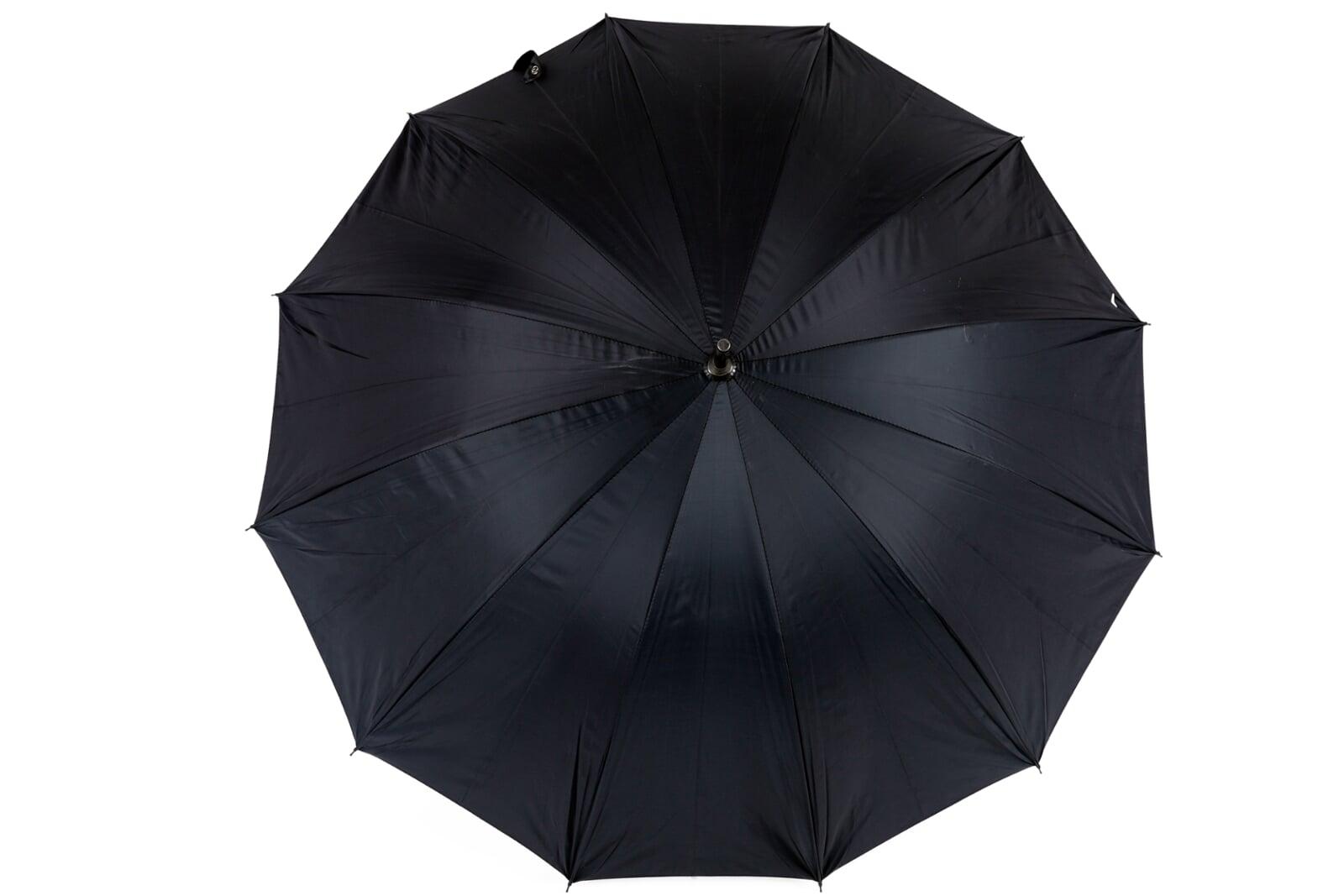 25inch Sando Newton Umbrella by Classic Umbrella