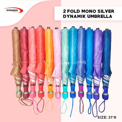 2fold Mono Silver Dynamik Umbrella