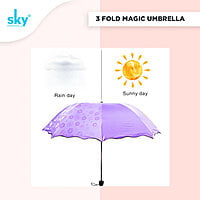 3Fold Magic Print Umbrella | (Pack of 6pcs) | INR 180/piece